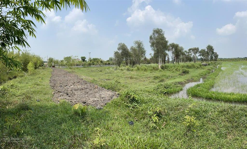 Bán đất 4,8 tỷ, 4763 m2 tại phước hiệp, củ chi, hcm giá siêu hời