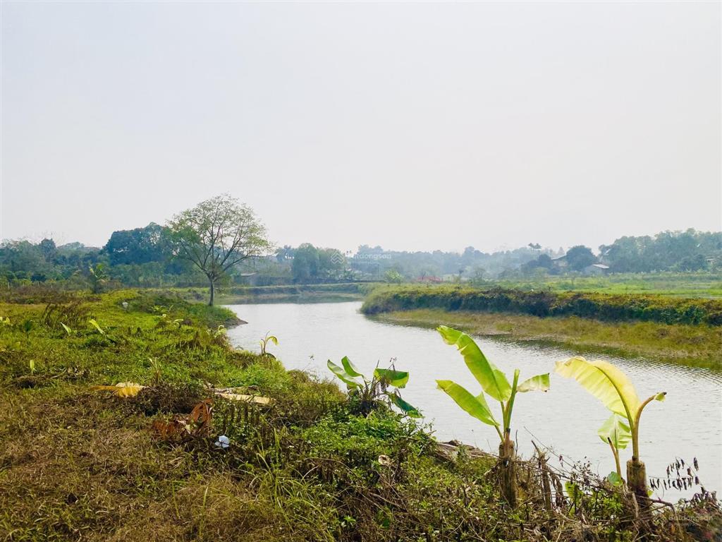 Chuyển nhượng 1.4ha (14000m2) đất bám hồ tự nhiên view đẹp xuất sắc tại ba vì  hà nội