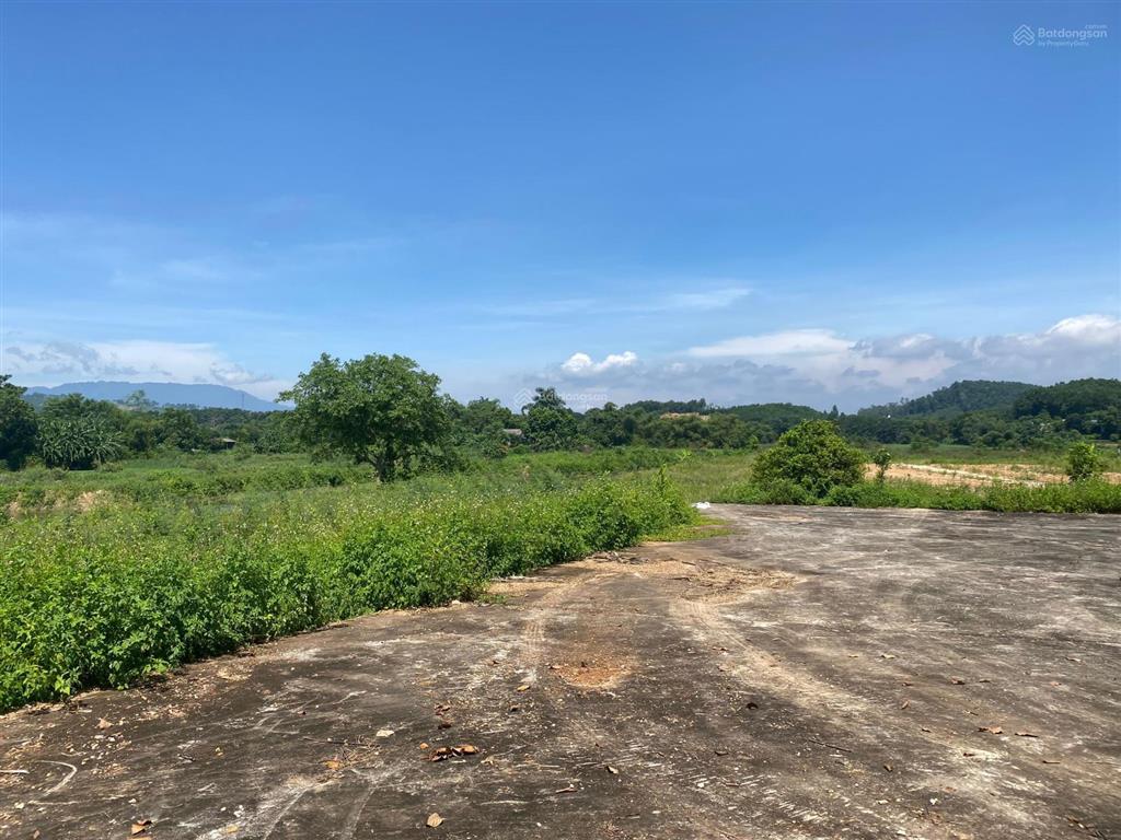 Chuyển nhượng 1.4ha (14000m2) đất bám hồ tự nhiên view đẹp xuất sắc tại ba vì  hà nội