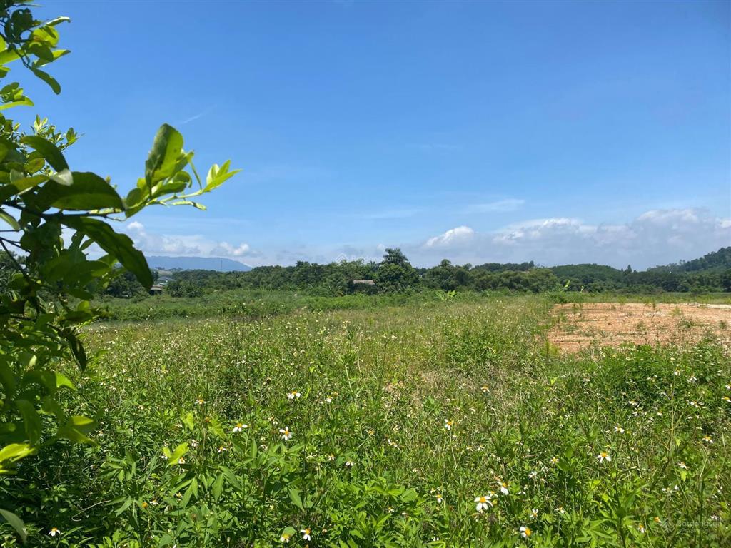 Chuyển nhượng 1.4ha (14000m2) đất bám hồ tự nhiên view đẹp xuất sắc tại ba vì  hà nội