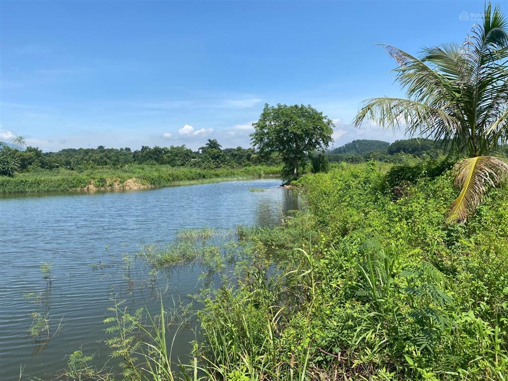 Chuyển nhượng 1.4ha (14000m2) đất bám hồ tự nhiên view đẹp xuất sắc tại ba vì  hà nội