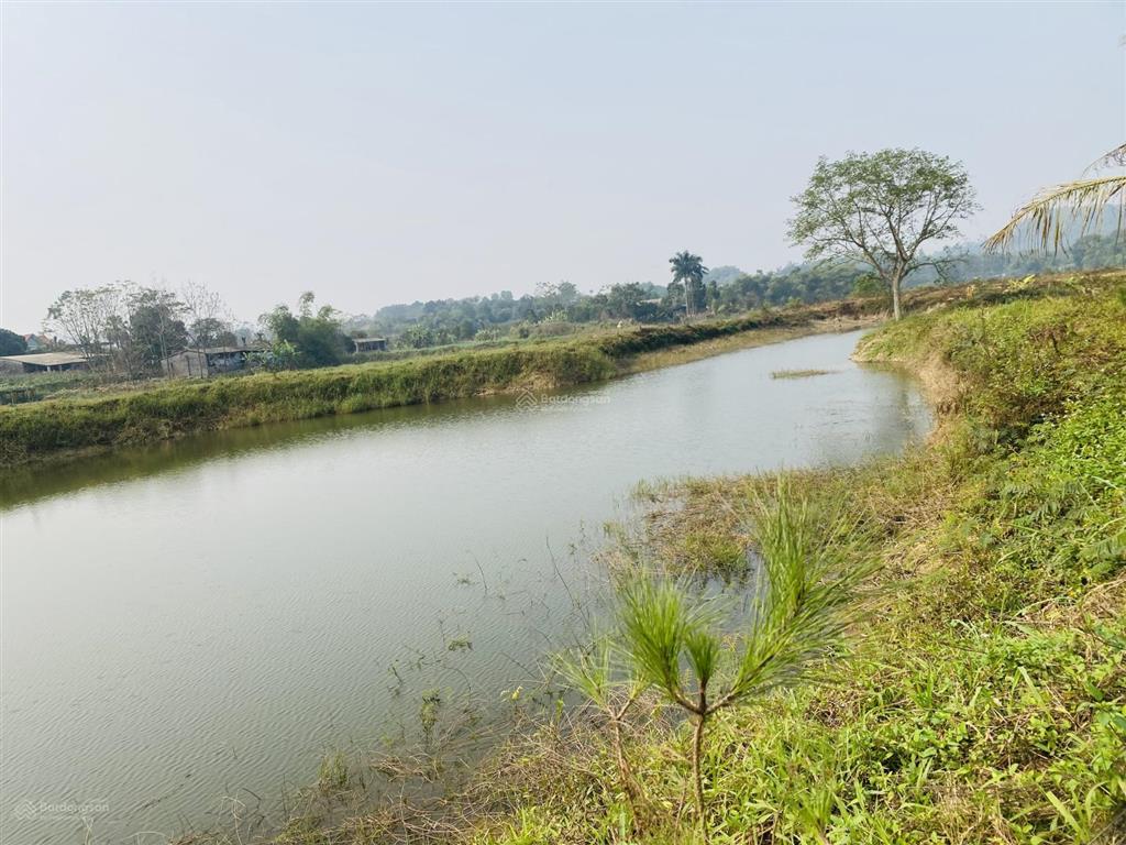 Chuyển nhượng 1.4ha (14000m2) đất bám hồ tự nhiên view đẹp xuất sắc tại ba vì  hà nội
