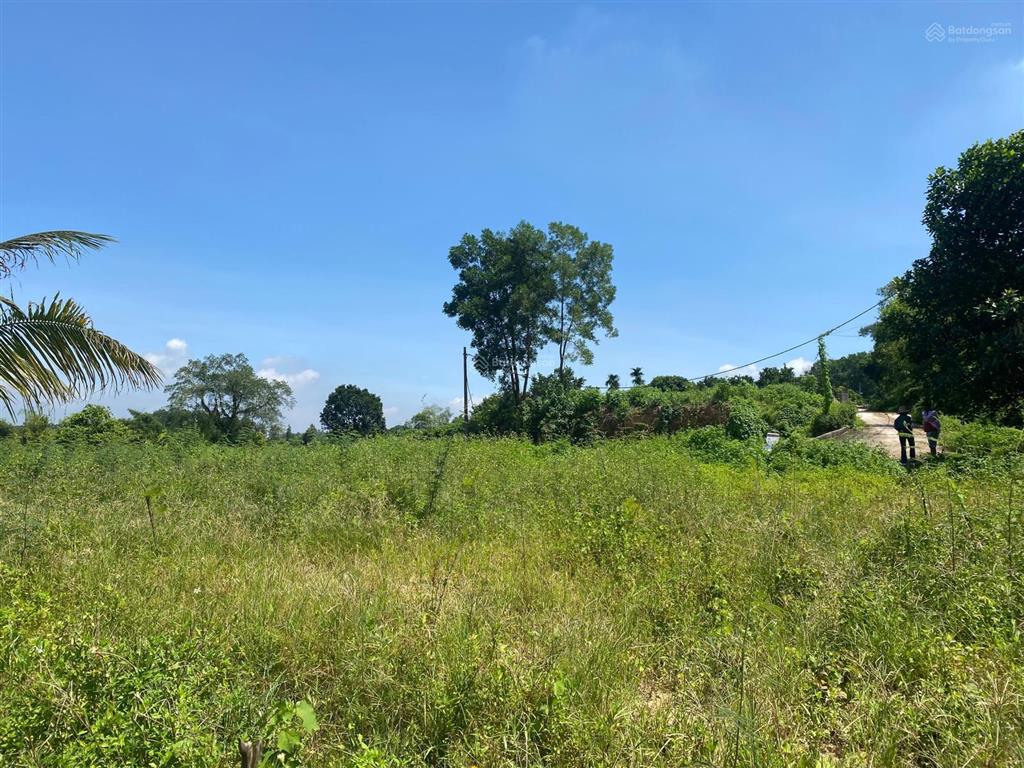 Chuyển nhượng 1.4ha (14000m2) đất bám hồ tự nhiên view đẹp xuất sắc tại ba vì  hà nội