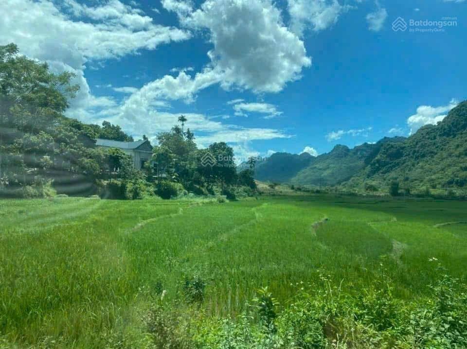 Bán lô đất 3.054m2 (2.000m2 thổ cư) view núi có nhà giá nhỉnh 3 tỷ tú sơn, kim bôi, hoà bình