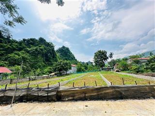 Siêu phẩm nghỉ dưỡng 245 291m full thổ cư chia sẵn 4 lô xã cao dương, phú thọ (cao dươn