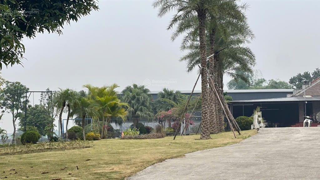 Chủ đang cần tiền bán gấp 391m lô đất vị trí vàng cách trục chính phan đình giót nhuận trạch .130m