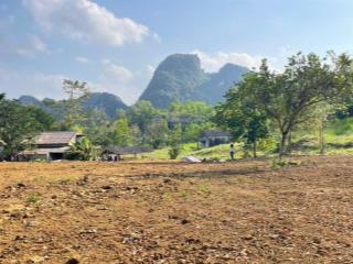 Chỉ hơn 2 tỷ 1 lô đất nghỉ dưỡng chia ra giá chỉ vài trăm nghìn/m, nghe là thấy khó tin! nhưng