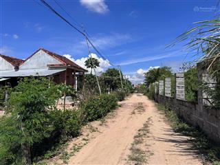 Tân mỹ, ninh xuân, thị xã ninh hoà full thổ cư đường ô tô tận nơi diện tích 90.1 m2. ngang 5m