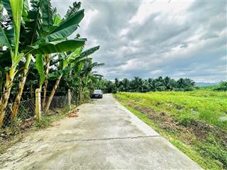 Mở bán 10 lô đất thổ cư siêu đẹp thôn phước tuy  diên thọ . diên khánh
 diên tích  ( 141,2m2 