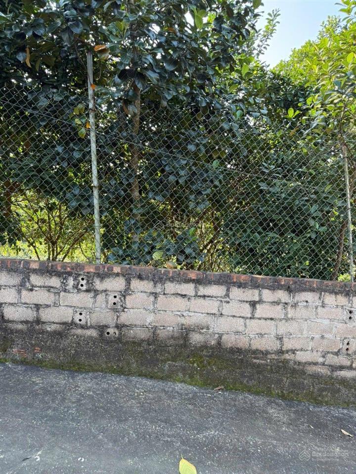 Lô đất nhà vườn hiếm bám suối gần ga metro