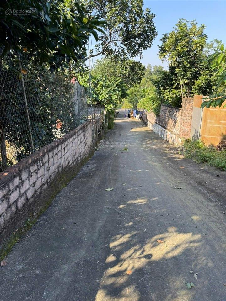 Lô đất nhà vườn hiếm bám suối gần ga metro