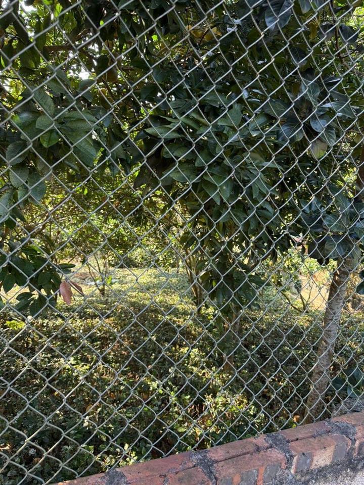 Lô đất nhà vườn hiếm bám suối gần ga metro