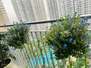 Chính chủ bán căn hộ s1 vin smart, 2n + , 62.2m2, tầng trung, slot ô tô, view bể bơi nội khu