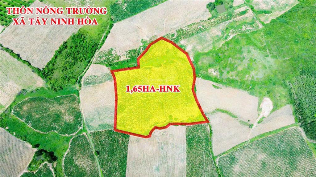 Cần bán gấp 1,6ha đất bằng hnk hạ giá chỉ còn 700tr xử lý gấp công việc tại thôn nông trường