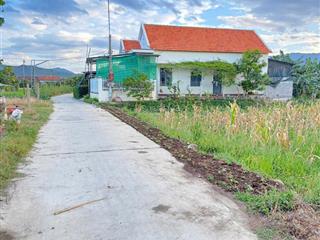 Tdp phú thạnh   phường ninh giang cũ