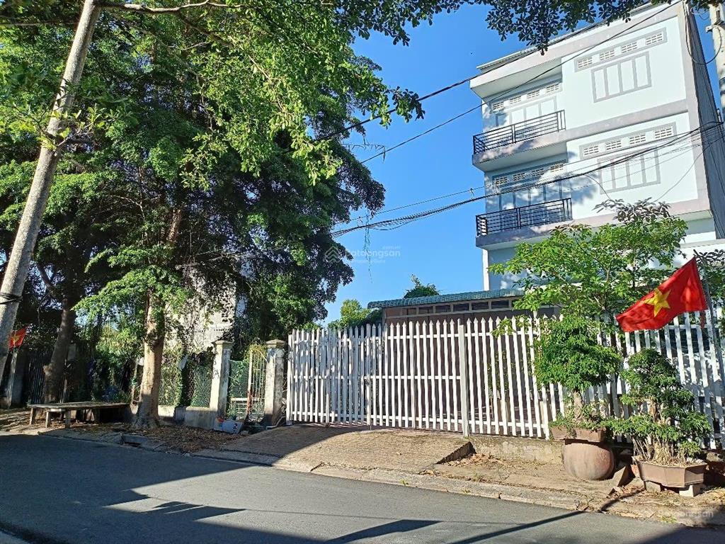 Hàng hiếm tại tam thôn hiệp, cần giờ, hcm, 4,5 tỷ, 225m2