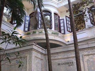 Biệt thự cổ kiểu pháp  đường hoàng sa, quận 1  dt 10m x 20m, 1 trệt 2 lầu, sân vườn  giá tốt