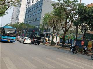 Bán biệt thự siêu vip khu đô thị pháp vân. diện tích 290m2 giá chỉ từ 190 triệu/m2