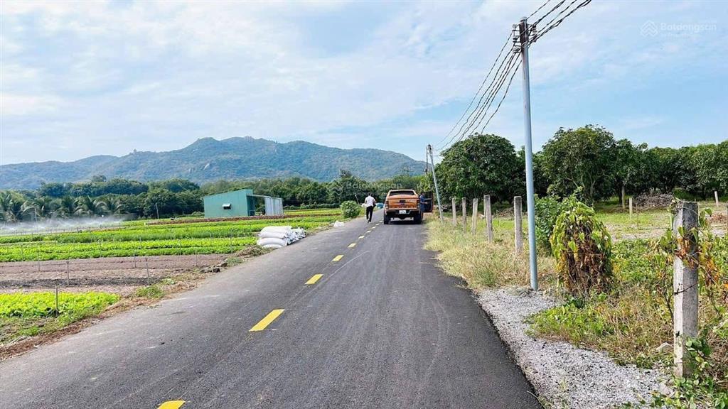 Thị trấn phước hải  view núi minh đạm siêu đẹp đi biển chỉ 10phút dt 2000m2  sẵn 300m2 thổ cư