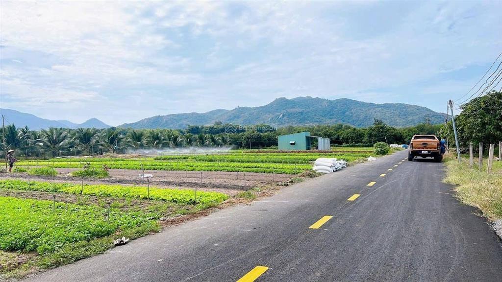 Thị trấn phước hải  view núi minh đạm siêu đẹp đi biển chỉ 10phút dt 2000m2  sẵn 300m2 thổ cư