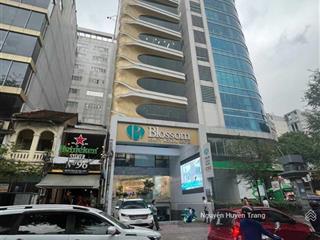Siêu phẩm sập giá! góc 2mt tòa nhà bùi thị xuân pnl q1 (8x27m) 8 tầng hđt 250tr/th chỉ 72 tỷ