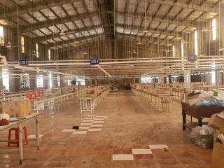 Cho thuê xưởng may mặc hóc môn. đất 5400m, xưởng 3200m 280tr pccc
