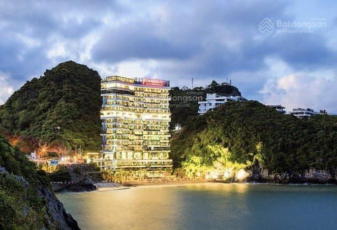 Gấp flamingo cát bà cắt lỗ 1 tỷ còn 1,35 tỷ view núi đẹp, cần bán nhanh. sống cạnh sunworld cát bà