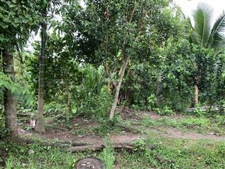 Bán đất giá rẻ 220 triệu thới phong, phường thới an