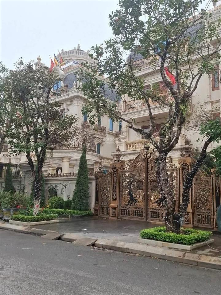 Cần bán biệt thự thô, cầu bươu, thanh trì. 360m2 x 3t, mt 20m, ô tô tránh, vỉa hè rộng, giá 58 tỷ.