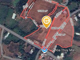 Chủ gửi bán đất (dt 41,954m2) 3 mặt tiền đường suối nghệ, huyện châu đức, tp. brvt. giá chỉ 75 tỷ