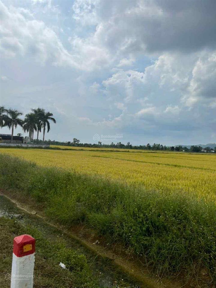 215 tr/ lô thổ cư 125 m2xung quanh là uỷ bantrường họcmặt đường 10 m. sổ đỏ full thổ cư.
