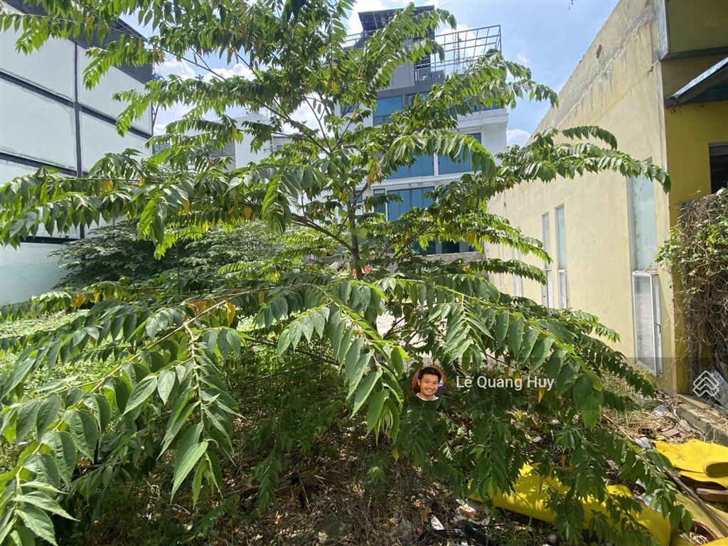 Hot đất mt cao đức lân, đẹp đối diện hồ công viên, xây bt 10x20m chỉ 243tr/m2 lõi an phú an khánh