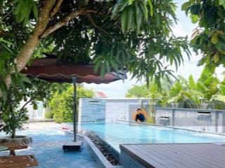 Villa hồ bơi biển phước hải
dt 626m2 100tc ngang 11m
sẵn nhà vườn full nội thấthồ bơi giá 6ty7