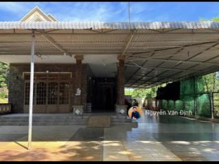Nhà vườn trục chính uỷ ban tt phước hải  đi biển chỉ 2.5km
dt 1000m2 20x50184 thổ cưsổ sẵn