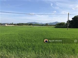 Đất sào trung tâm đất đỏcó 38m mặt tiềnphủ hồngview cánh đồng lúa nhìn ra núi cực đẹpsổ sẵn2t3
