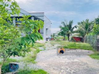 Bán đất tặng nhà vườn cây ăn trái ven biển phước hảidt 631m215mx45m60 thổ cưđường tl 44b cũ