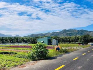 Lô góc1439m240x36m thị trấn phước hải  view núi siêu đẹpgia 6ty thương lượng