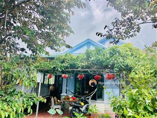 Nhà vườn cực đẹp hướng đông nam ven biển phước hảidt600m2 ngang 15mcó200 thổ cư vườn cây đẹp