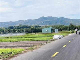 2000m2 có 300m2 thổ cư ra biển phước hải 5p, sổ sẵn  ngang 21.6m mặt tiền  view núi, giá 6,7 tỷ
