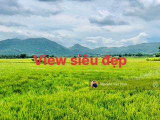 Diện tích 491m210mx50m100 thổ cư, cách đường ven biển 50msổ sẵnview cực đẹpra biển 3pgiá 4ty