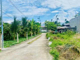 Diên sơn ngay đường chính nhà vuông