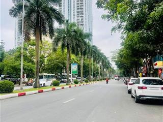 Chính chủ bán gấp đất liền kề xa la, 122m2 lô góc kinh doanh, ô tô tránh, sát đường đôi giá tốt