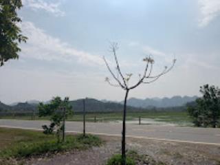 Giá rẻ như cho đất 600m2 sổ đỏ chính chủ mặt tiền 20m ngay đường mòn hồ chí minh