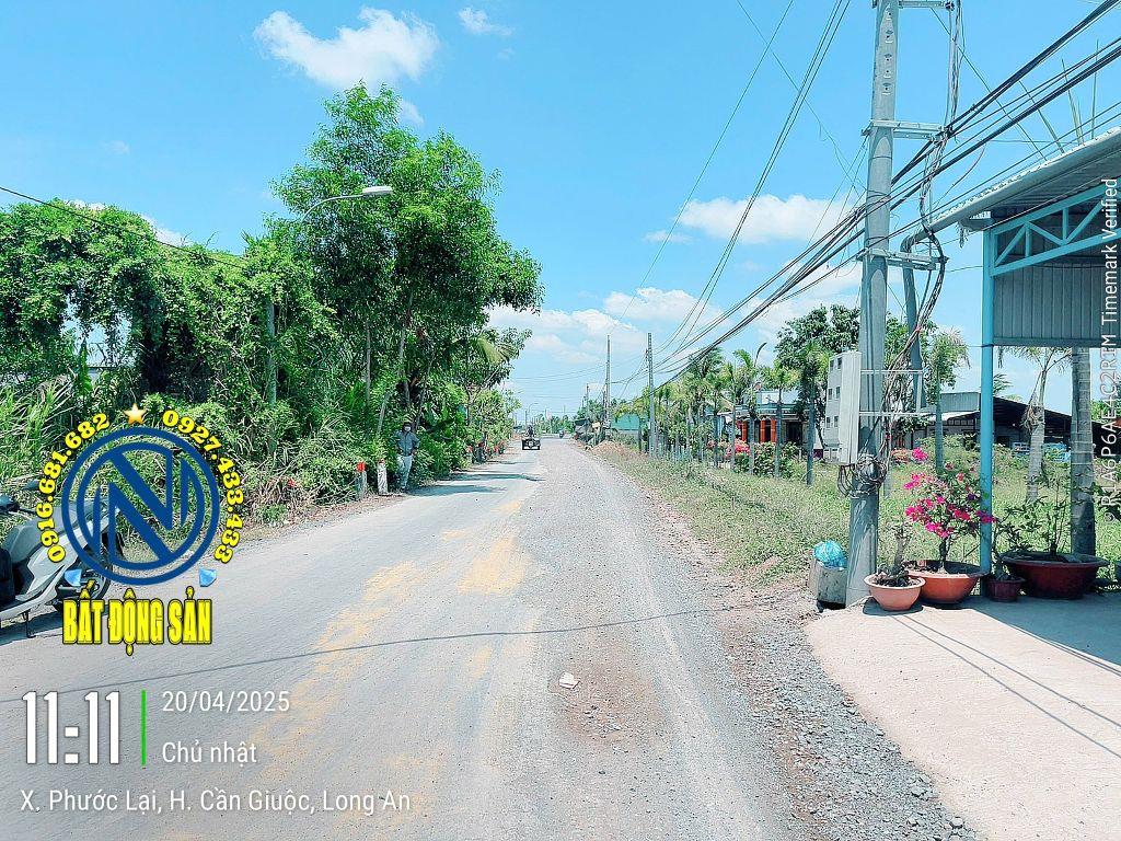 185m huỳnh thị thinh, phước lại, cần giuộc giá 3.3 tỷ