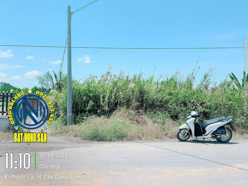185m huỳnh thị thinh, phước lại, cần giuộc giá 3.3 tỷ