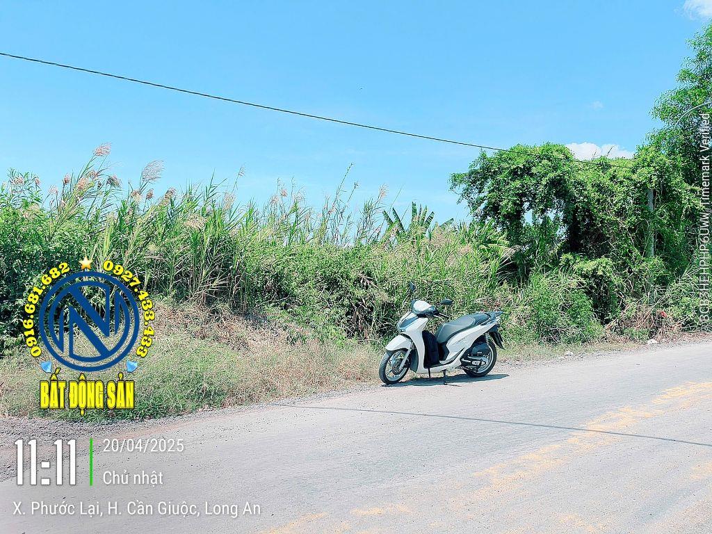 185m huỳnh thị thinh, phước lại, cần giuộc giá 3.3 tỷ