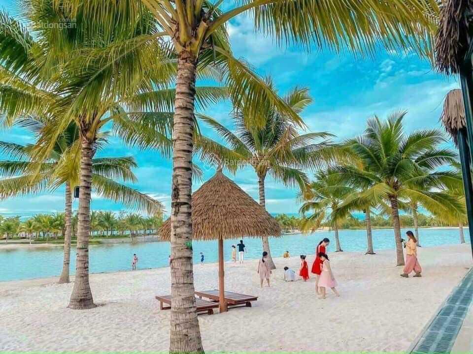 Bán nhanh nhà phố biệt thự vinhomes vị trí đẹp giá tốt nhất t11/2025  0938 703 ***