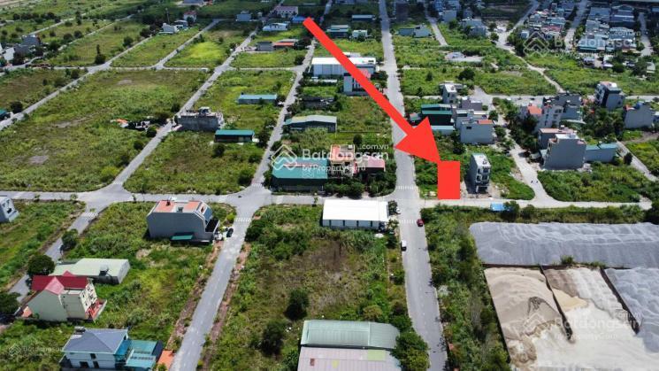 Kđt bột cá cao xanh hạ long