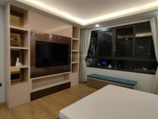 Cho thuê căn hộ the panorama, phú mỹ hưng, q7, 167m2, 3pn, nt cao cấp vip, giá 45 triệu/tháng