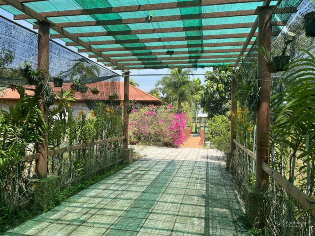 33.5 tỷ  xô viết nghệ tĩnh nối dài bình thạnh  50x50m / 2.099m2  thông tin thật
